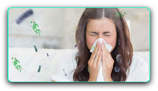 Dấu hiệu nào cho thấy không khí trong nhà không sạch?