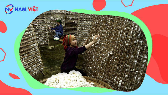 Huấn luyện an toàn lao động sản xuất tơ tằm