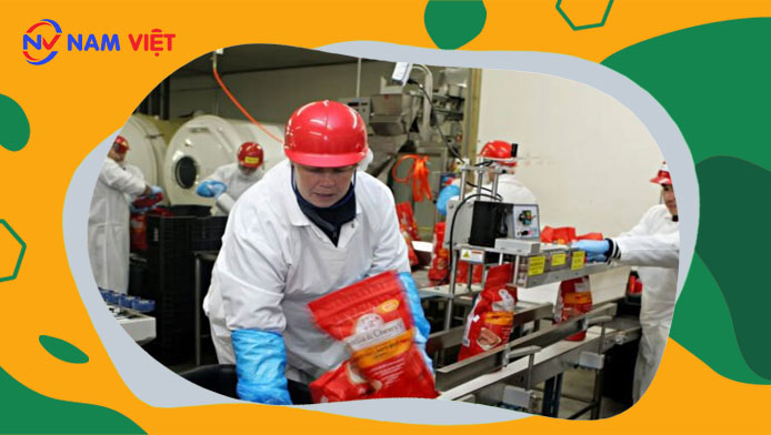 Quan trắc môi trường lao động nhà máy sản xuất thức ăn thú cưng