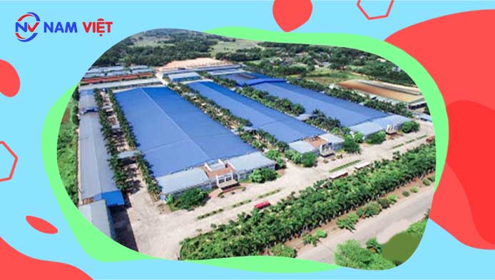 Huấn luyện an toàn lao động tại Khu công nghiệp Cổ Chiên